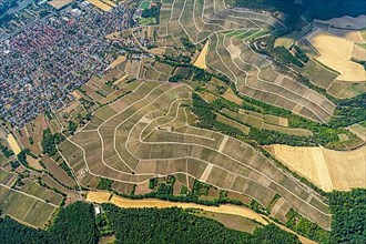 Aerial view of vineyards in Thuengersheim, municipality