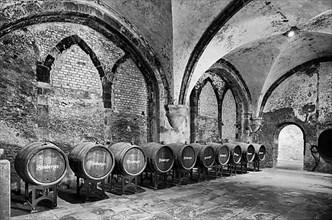 Wine cellar, Eberbach Monastery