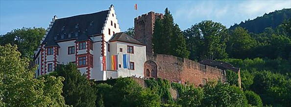 Mildenburg, Miltenberg