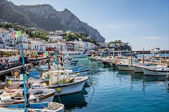 Marina Grande fishing harbour with fishing boats, Capri
