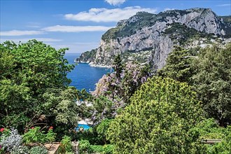 Enchanted garden on the south slope with the Marina Piccola, Capri