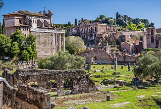 Roman Forum at a glance, Rome