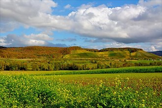 BW. near Guendelbach
