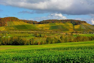BW. near Guendelbach