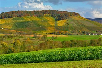 BW. near Guendelbach