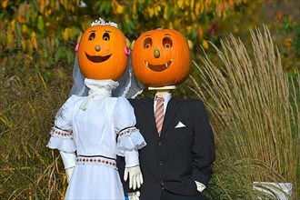 Wedding couple with pumpkin head