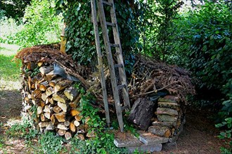 Firewood store in the garden