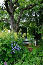 White garden bench