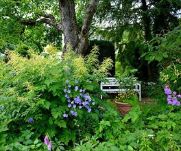 White garden bench
