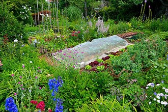 Vegetable garden with cold frame