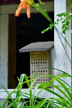 Useful insect house in the garden
