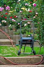 Garden hose cart in the garden