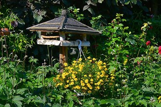 Birdhouse with hanging plant flowering