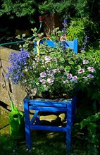 Garden chair with various summer flowers