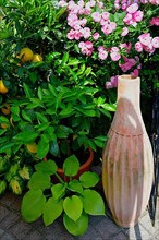 Amphora in the garden