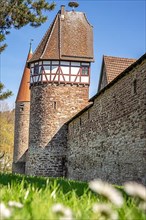 View of the Storchenturm and the city wall in spring