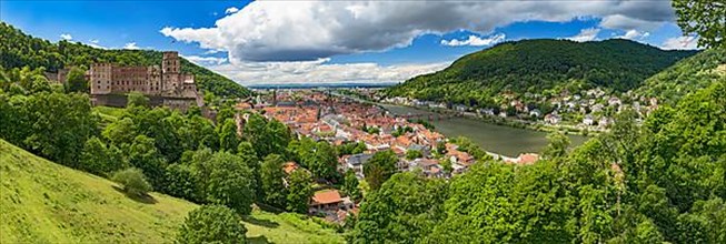 Heidelberg with castle