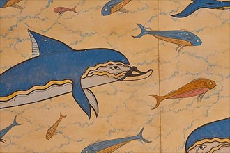 Dolphin fresco
