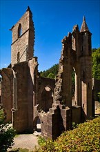 All Saints Monastery Ruins in the Black Forest National Park