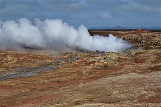 Escaping steam in the Gunnahver high-temperature area on the south-western tip of the Reykjanes peninsula