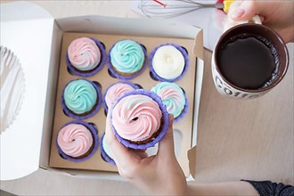 Cupcake with pink and blue cream in the hands of a girl on the background of a box of cupcakes
