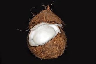 Peeled and cracked coconut palm