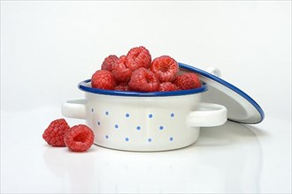 Raspberries and blackberries in pots