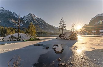 Two fir trees on fields in the icy Hintersee at sunset
