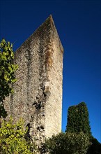Kennel of the ruins of Hofen Castle