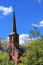 Historic church in Tauberbischofsheim
