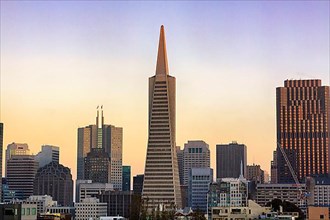 View from Telegraph Hill on Transamerica Pyramid and skyscrapers in the business district Financial District
