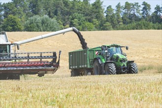Combine harvester pours grain onto tractor trailer