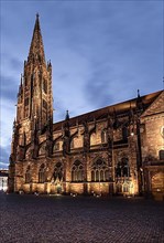 Freiburg Cathedral at the blue hour