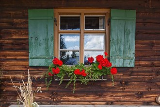Geraniums at the window of a mountain hut