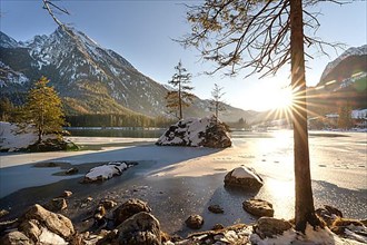 Two fir trees on fields in the icy Hintersee at sunset