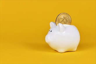 Crypto currency bitcoin in white piggy bank on yellow background