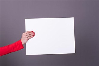 Female hand holding a blank sheet poster for copy-space and mockup