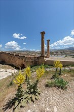 Historical Cendere Bridge in Adiyaman Province