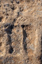 Fooprints of Moses on rock in Somatar in Sanliurfa