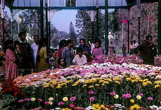 Flower show in glass house at Lal Bagh botanical gardens in Bengaluru Bangalore
