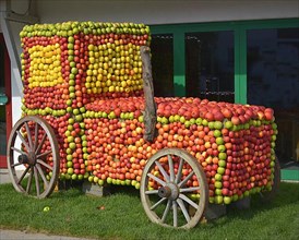 Apple harvest in tractor shape