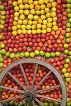 Apple harvest with different varieties on the wagon wheel