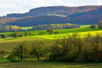 BW. near Guendelbach