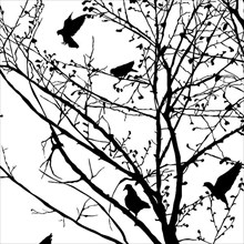 Background illustration with pigeons silhouettes in the trees