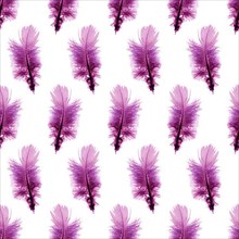 Seamless pattern background with purple feathers over white background