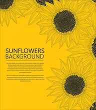 Sunflowers text card