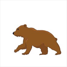 Cute little bear cub vector cartoon over white background