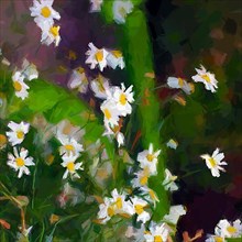 Expressive brush strokes daisies background
