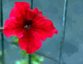 Vector brush paining of a red flower