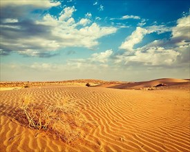 Vintage retro effect filtered hipster style image of dunes of Thar Desert. Sam Sand dunes